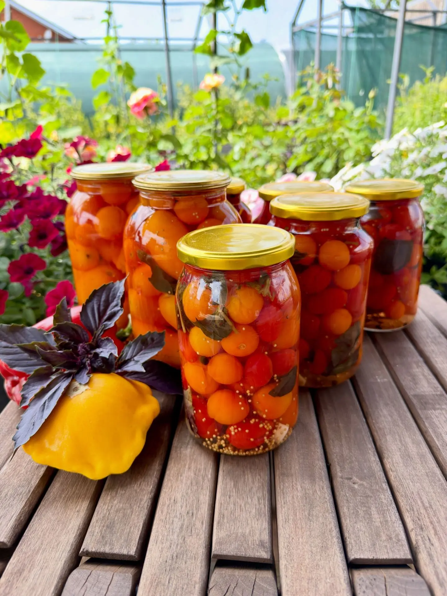 ОТЛИЧНЫЙ РЕЦЕПТ! ЭТО КЛАССИЧЕСКИЙ И ОЧЕНЬ УДАЧНЫЙ СПОСОБ КОНСЕРВАЦИИ, ГДЕ БАЗИЛИК ПРИДА...