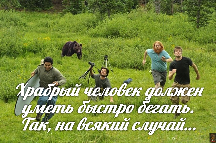 За Ежей в тумане    https://max.ru/public217562846
