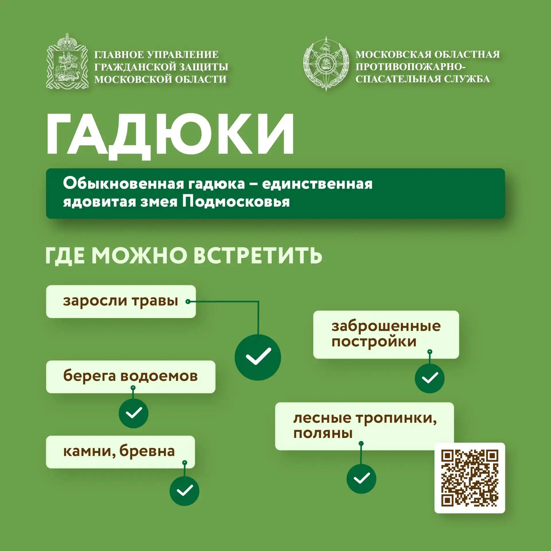Единственная ядовитая змея в Подмосковье — гадюка обыкновенная.
 Чаще всего ее можно встретить в выс
