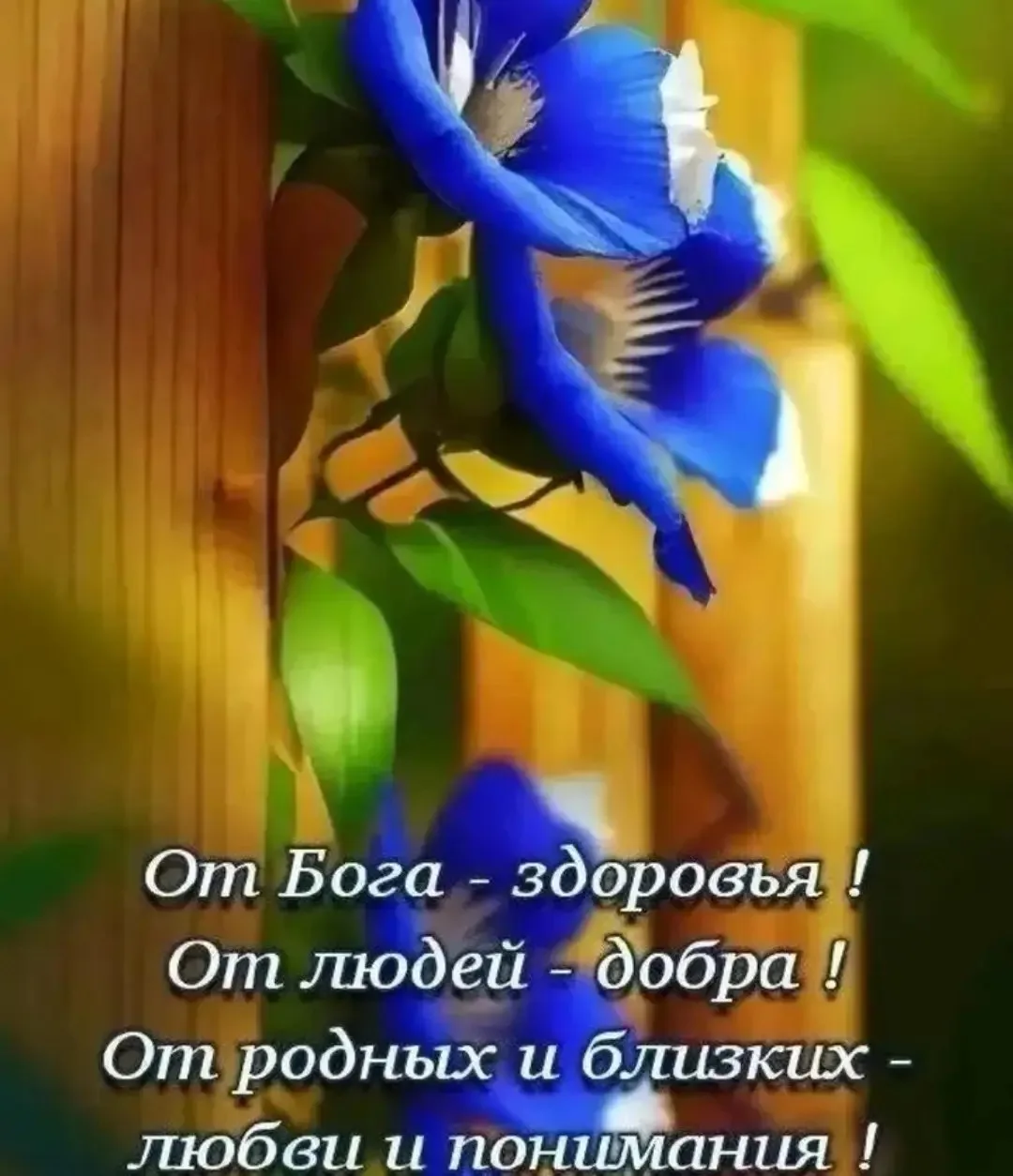 🏵Доброе утро, друзья!💛

🏵Пусть утро будет
🏵солнечным и нежным.
🏵Спокойным, добрым, тихим, 
🏵бе