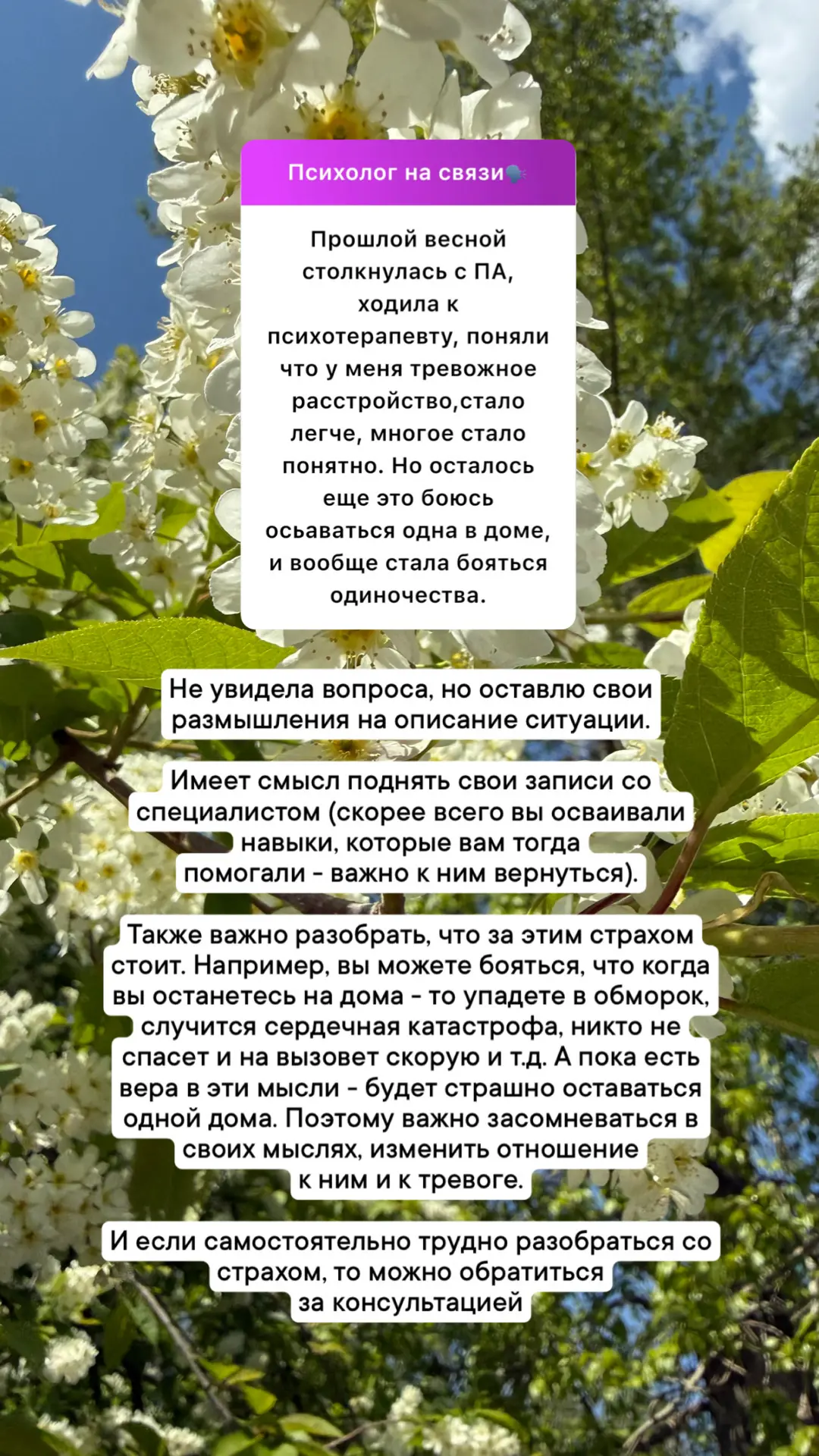 Разбор ваших анонимных вопросов💛