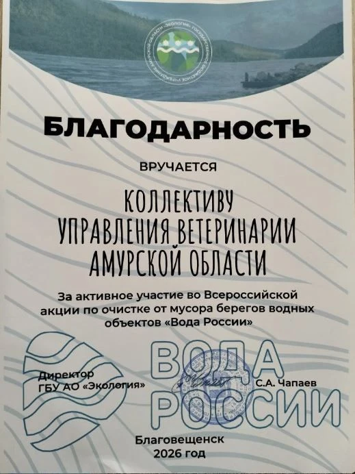 Потому что нам не все равно! 😊