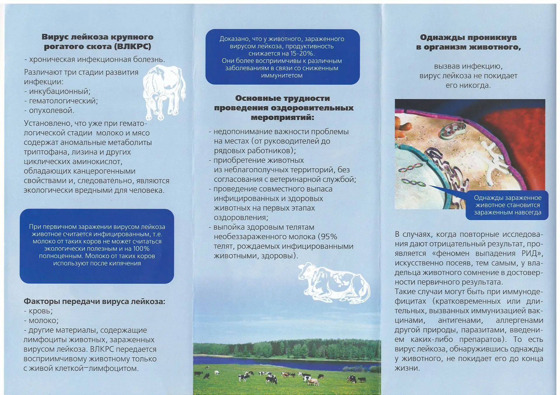 📌Памятка для населения по лейкозу крупного рогатого скота🐄
 
Что такое лейкоз КРС❓
📝Лейкоз крупно