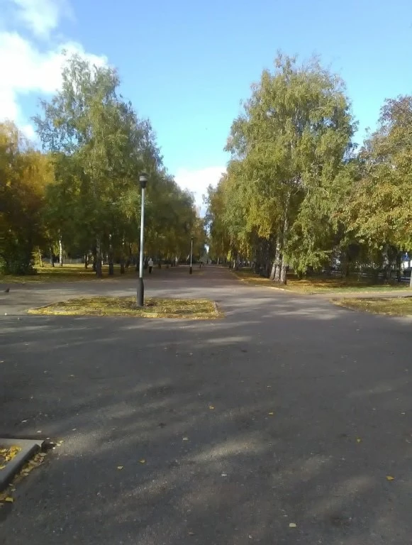 Прежняя аллея 2018 год