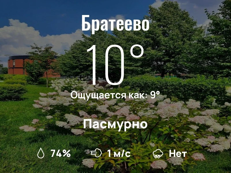 Что с погодой в Братеево?