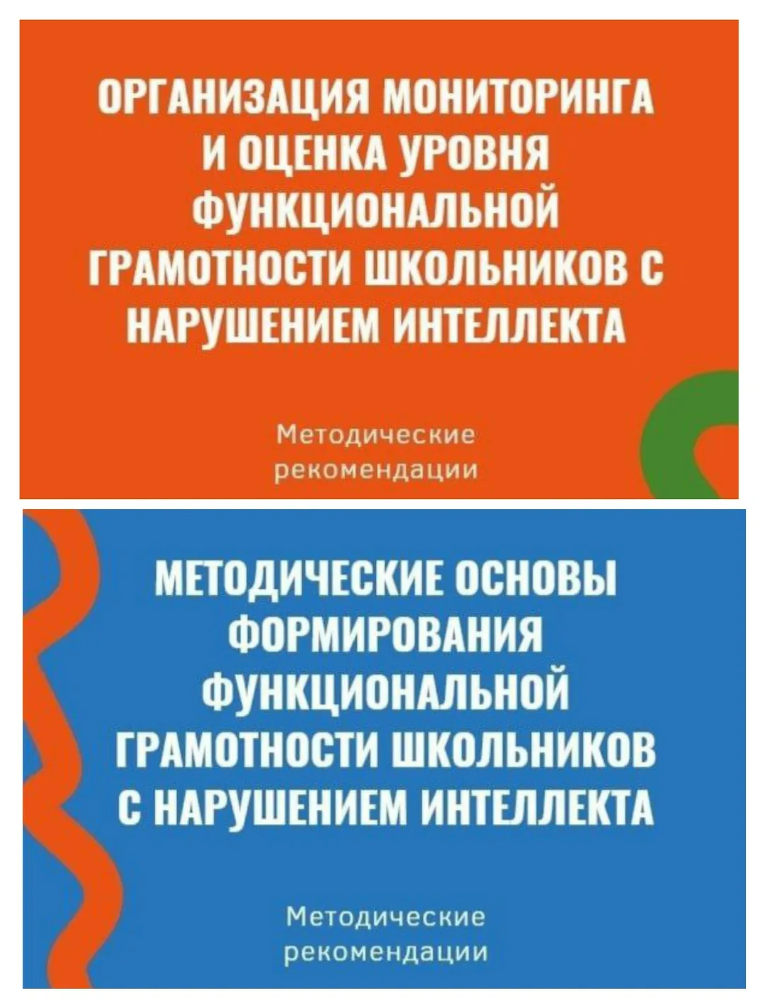 Организация мониторинга и оценка уровня функциональной грамотности школьников с нарушен...