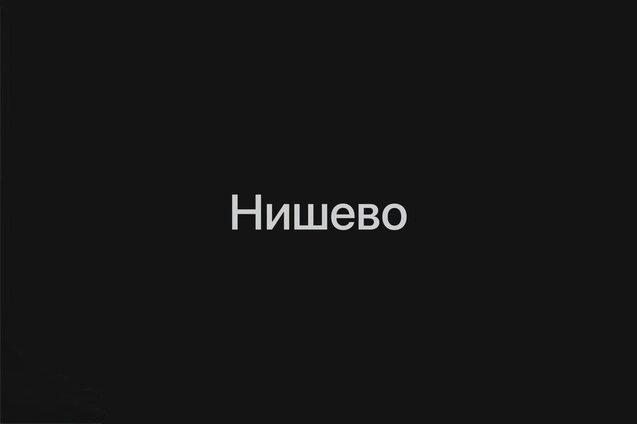 «Нишевый» стало главным претендентом на слово года.