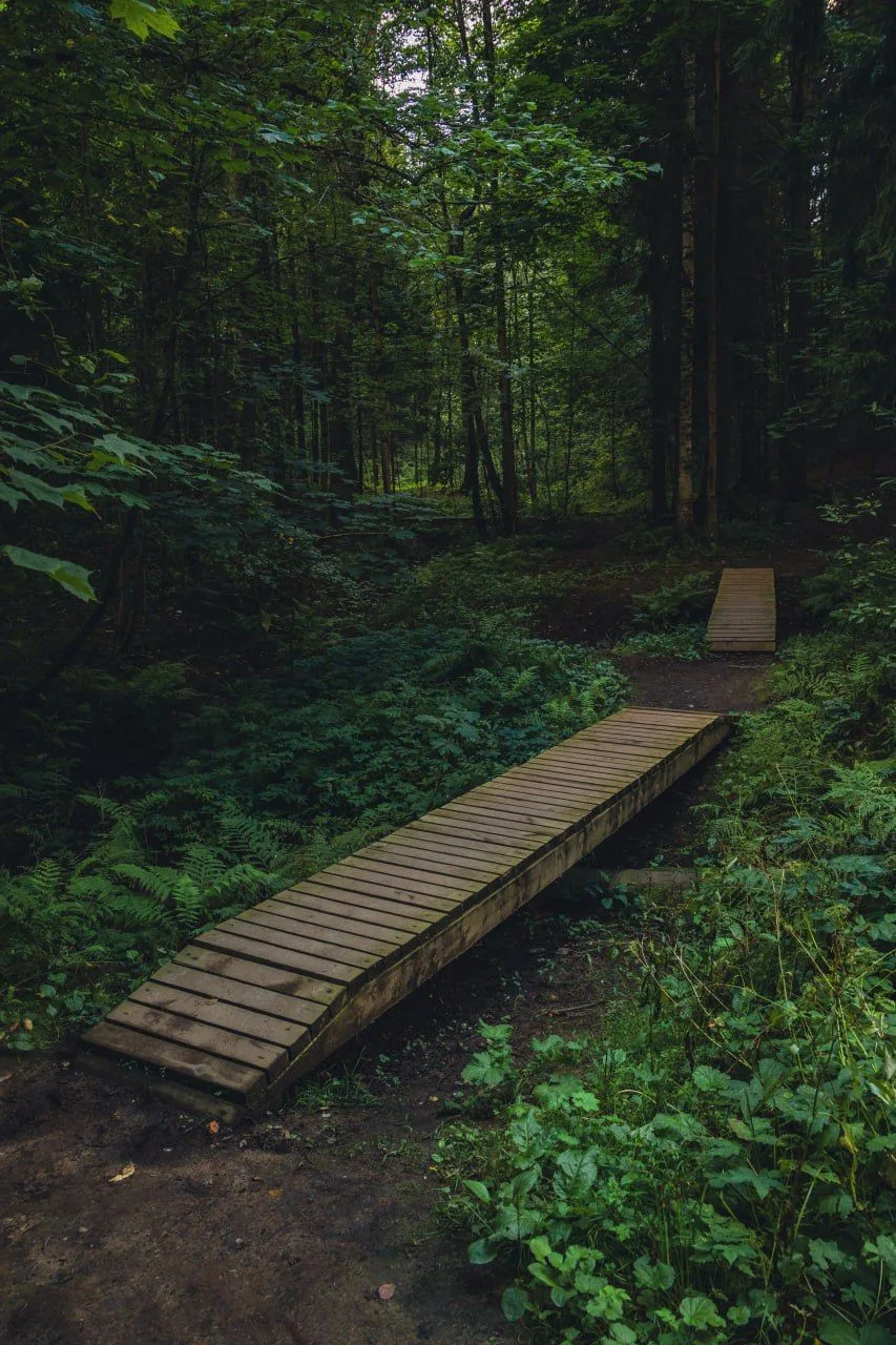 🌳 Шуваловский парк

📌 Парк занимает площадь в 143 гектара.

📍 Координаты - 60.076200, 30.304108
�