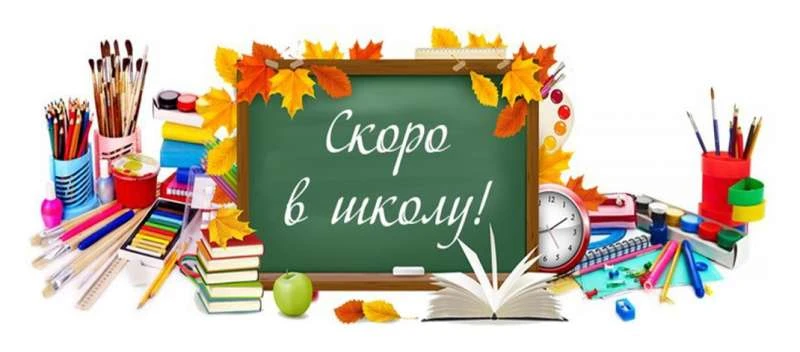 Внимание! Внимание! Школьная посадка