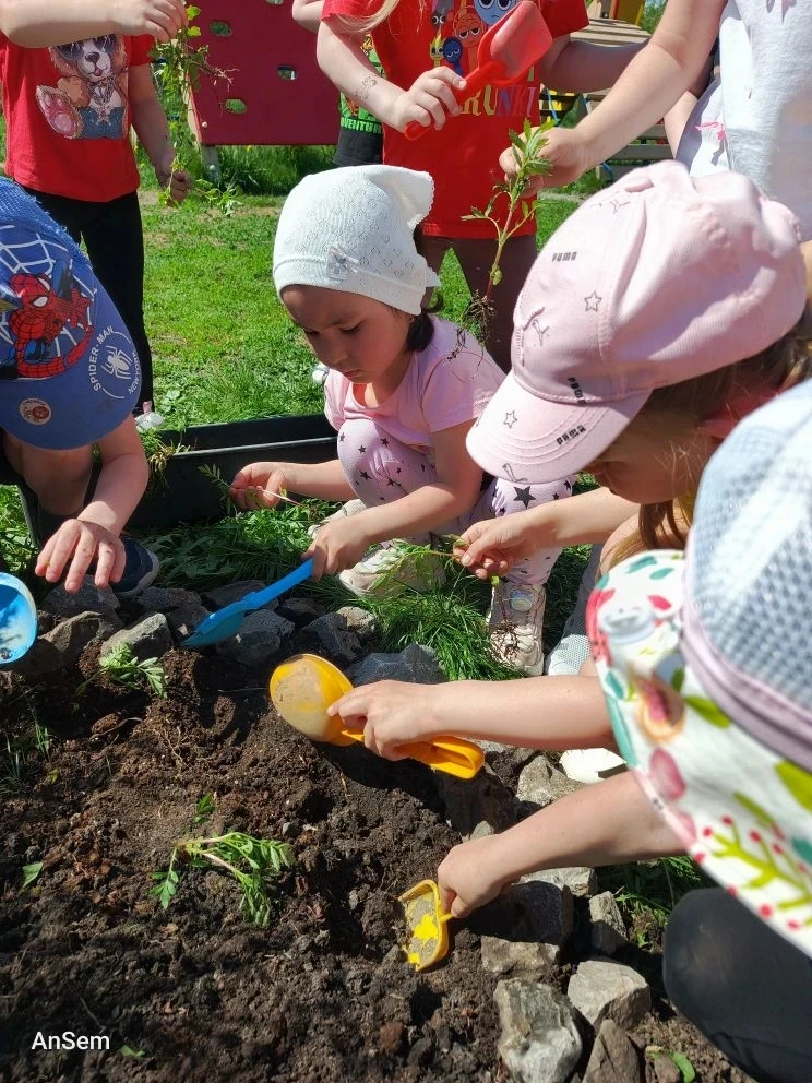 С наступлением тепла☀️ ребята из группы "Капитошки" с любовью и заботой высадили красив...