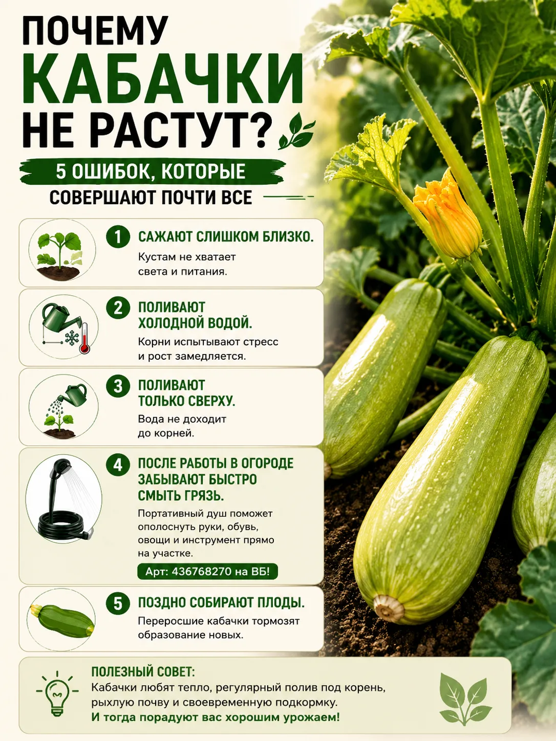 Оставьте любую реакцию 😊 Это лучшая благодарность для меня! ❤️

Мир томатов с Аллой | Подписаться