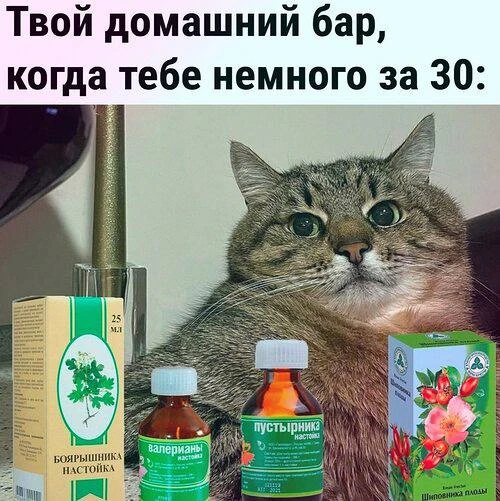 Коктейль дня: две капли валерьянки, ложка пустырника и лед. Украсить капсулой магния.