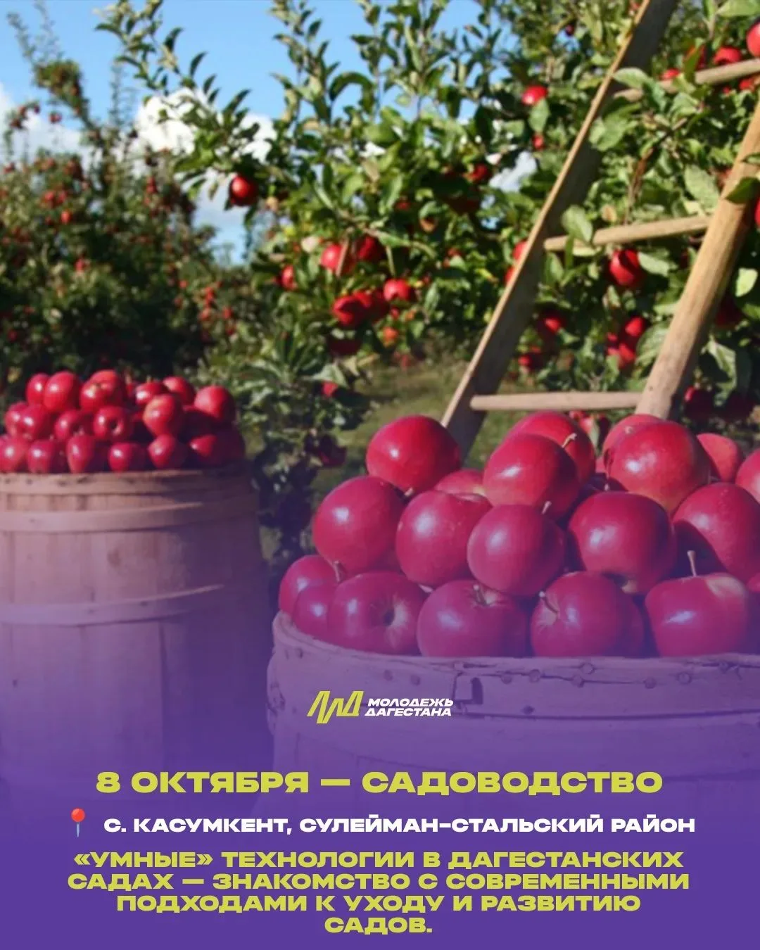 В Дагестане стартует проект «Земля традиций»