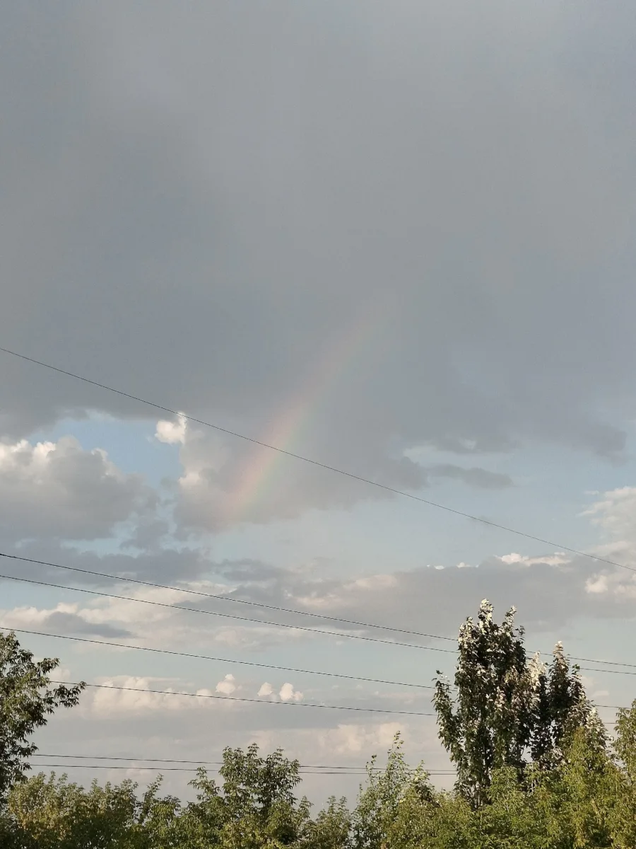 Тихий и мимолетный момент красоты🌈😍