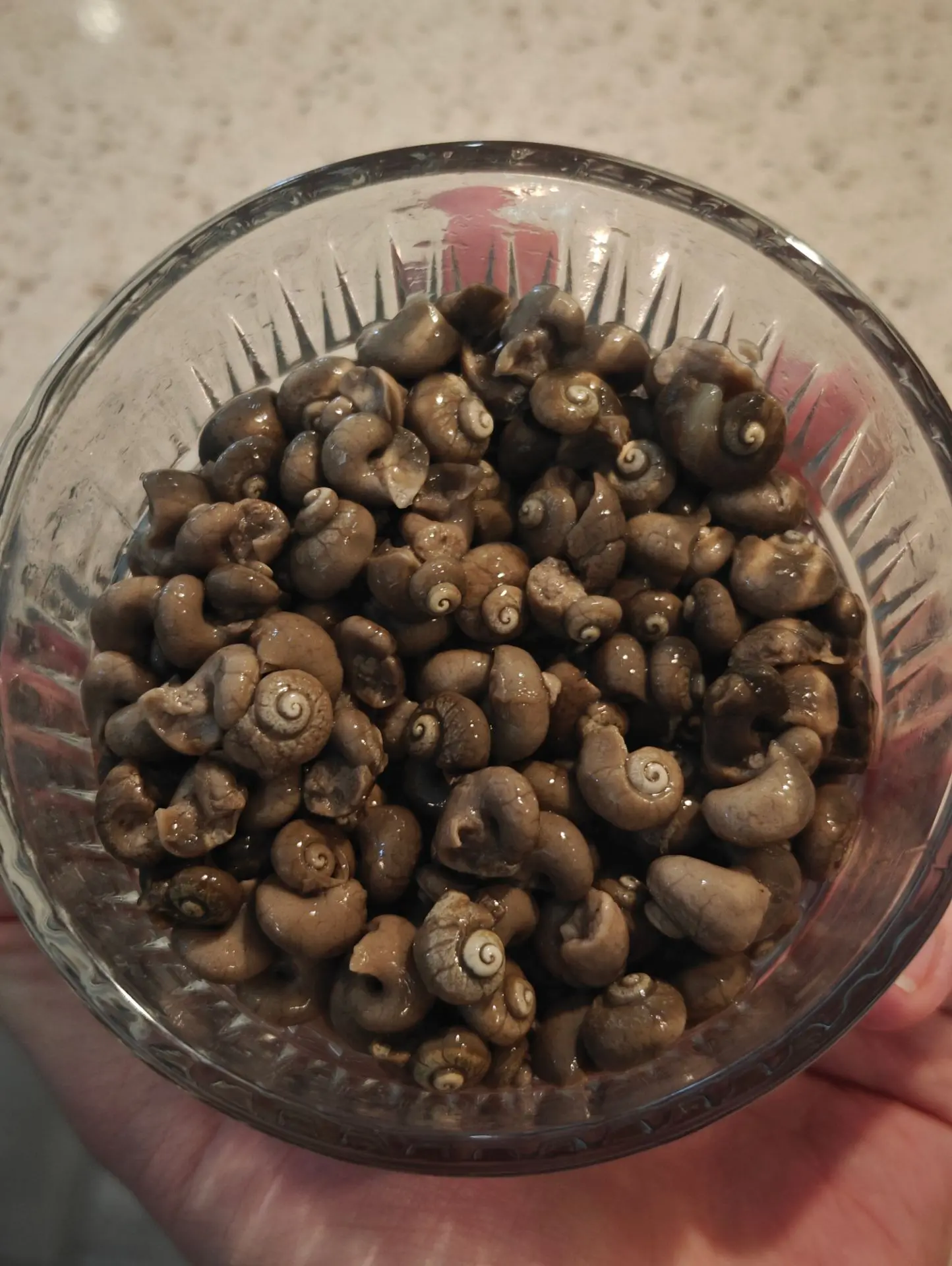 Мы дошли до самого интересного 🐌