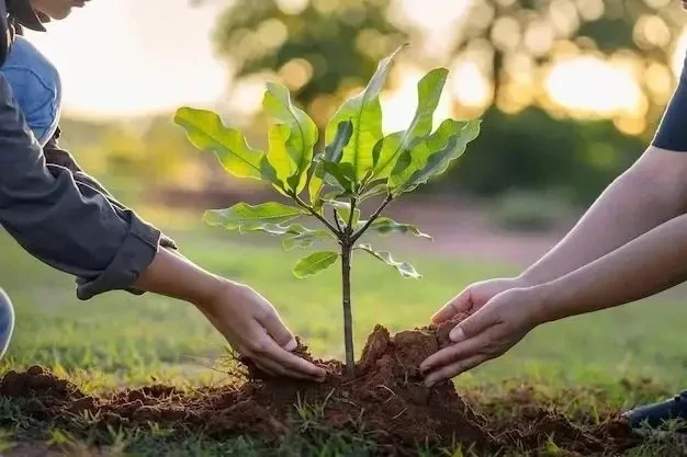 Уважаемые земляки!
 
🌿 В нашем округе жителями активно поддерживается и развивается тема экологии: 