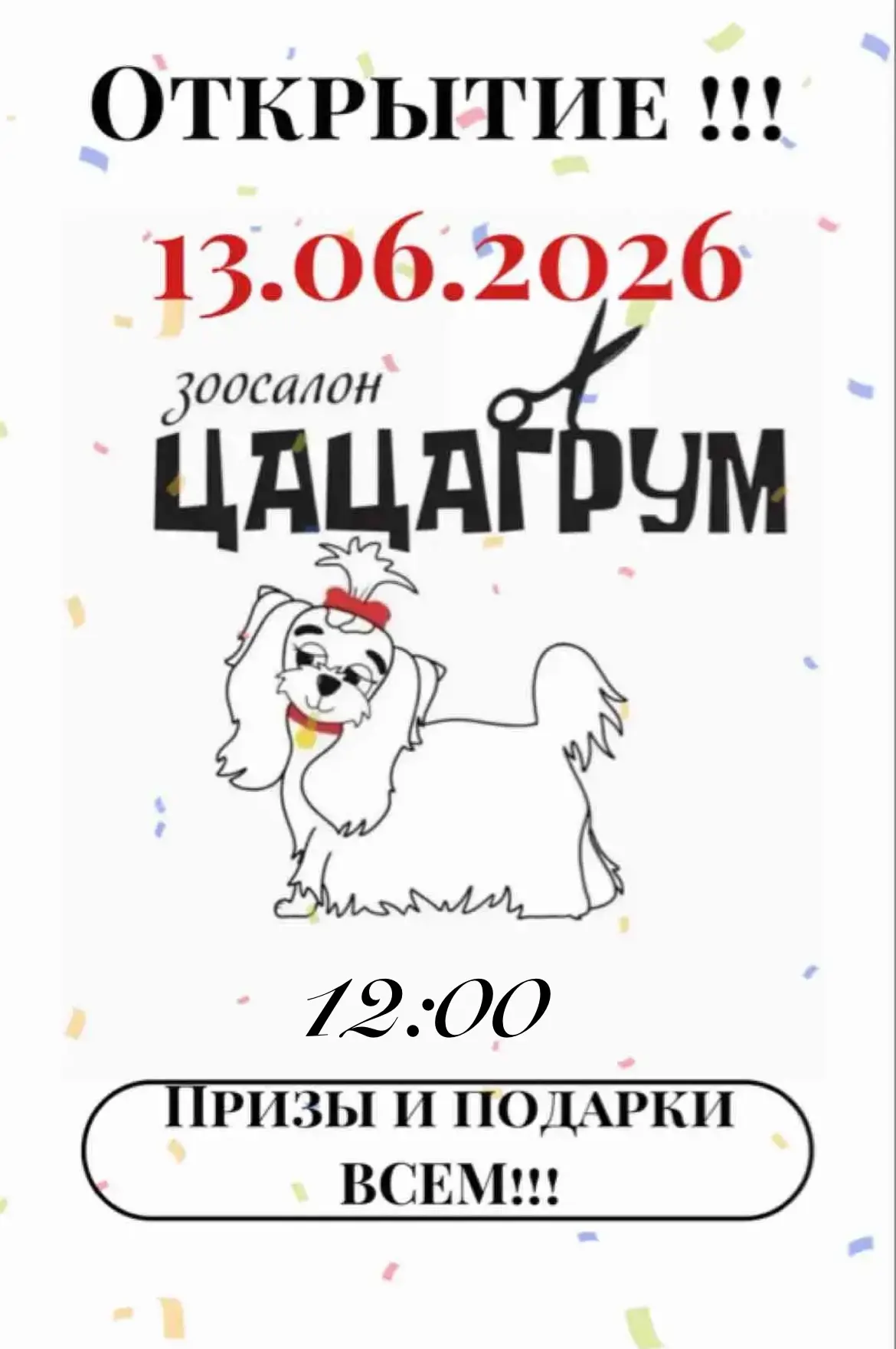 ✨13.06.2026 официальное  открытие зоосалона ЦАЦАГРУМ! ✨