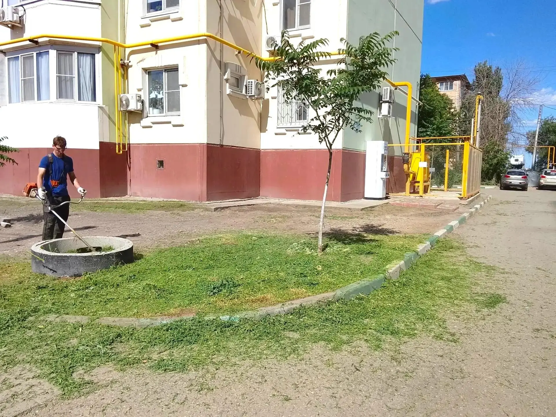 К новости «🟢 Время свежести: обновили газоны!»