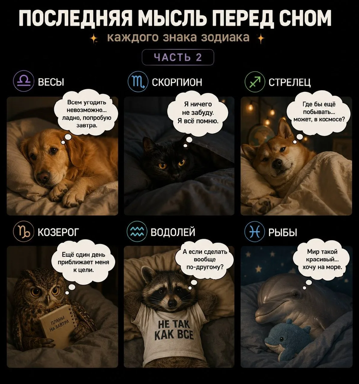 ✨ Продолжаем выяснять, какие мысли первыми приходят в голову каждому знаку зодиака перед сном. Если 