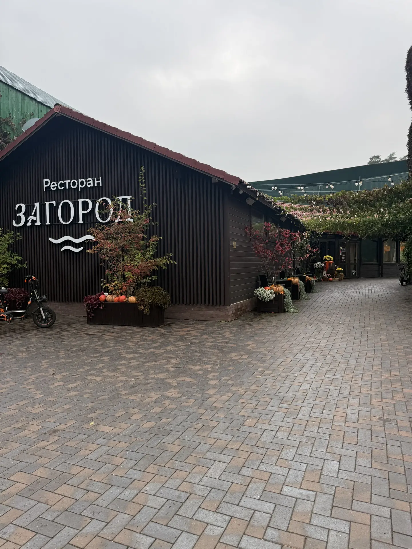 Как я пыталась стать фермером, но просто объелась в «ЗАГОРОД» 🥩🍷
