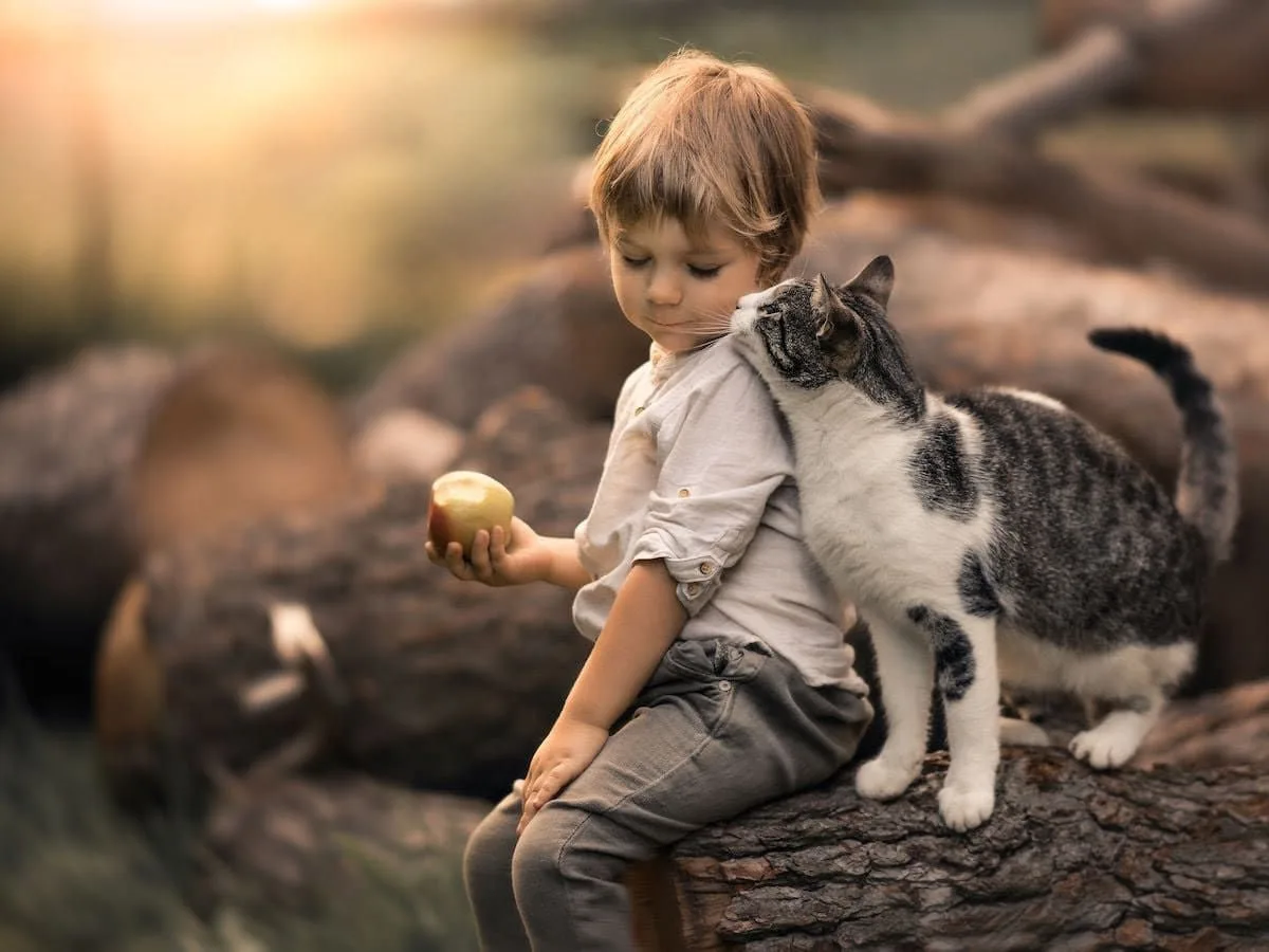 🍂🧡🍂🧡🍂🧡🍂🧡🍂🧡🍂

Знаешь, пап, я сегодня подумал, что кошкам тоже не хочется умирать...

Расст