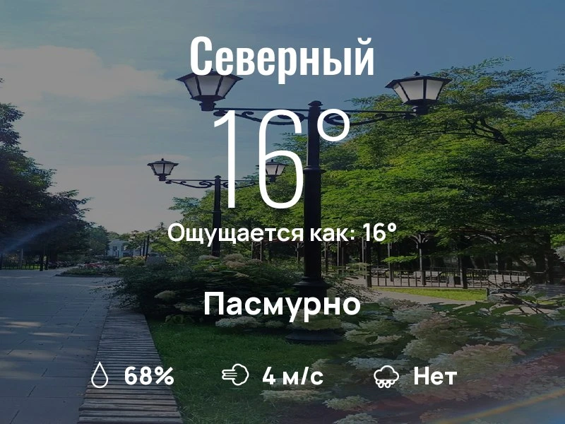 ☀️ В Северном снова перепады температуры

Днём воздух прогреется до +5…+7°C, а к вечеру столбики тер
