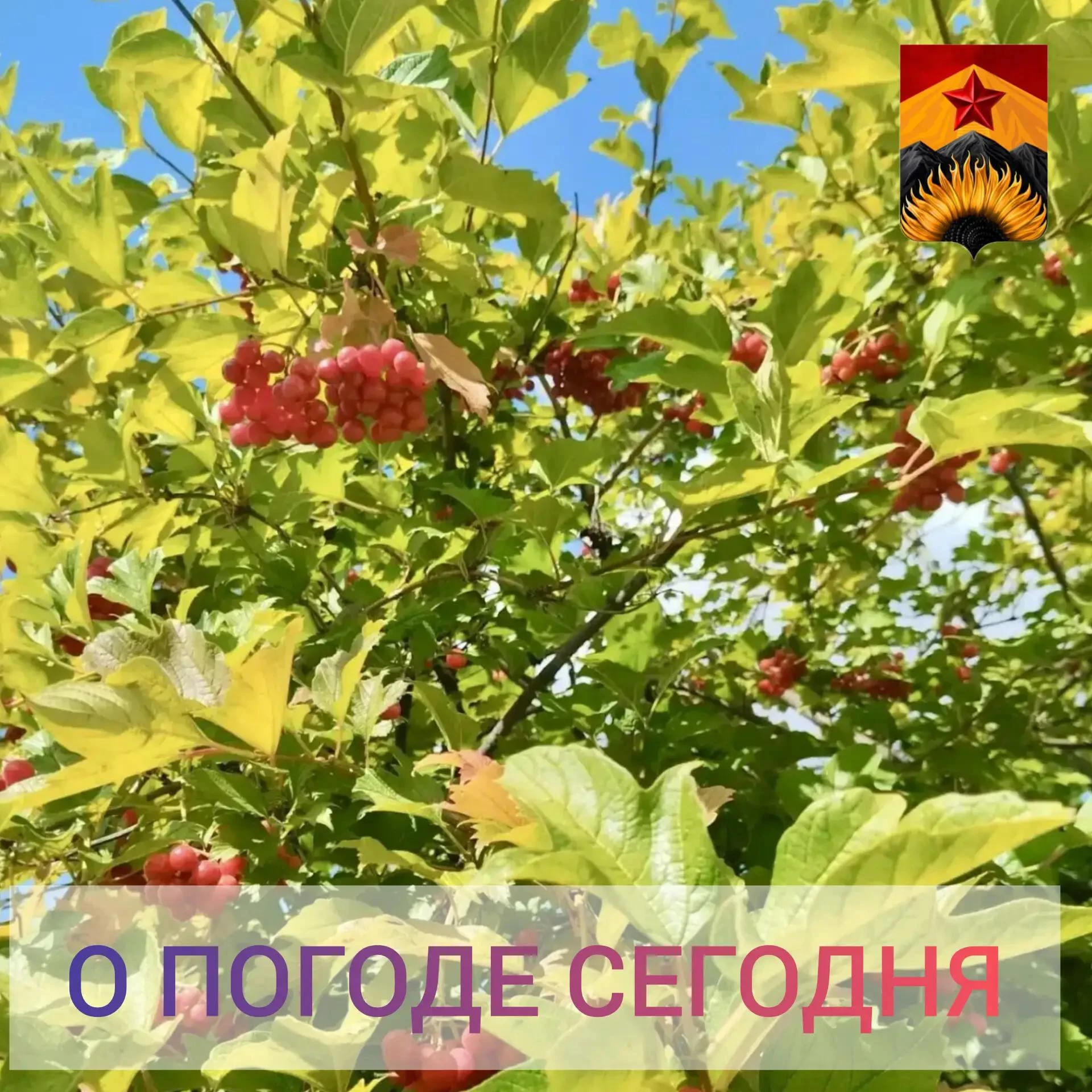 Гидрометцентр сообщил о погоде в Шахтерском округе