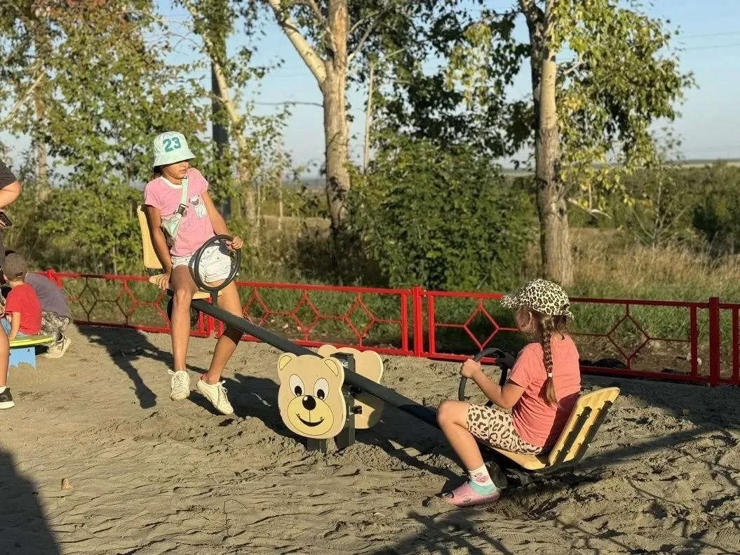 🌳 Новая детская площадка и обновленная зеленая зона появились в Барнауле