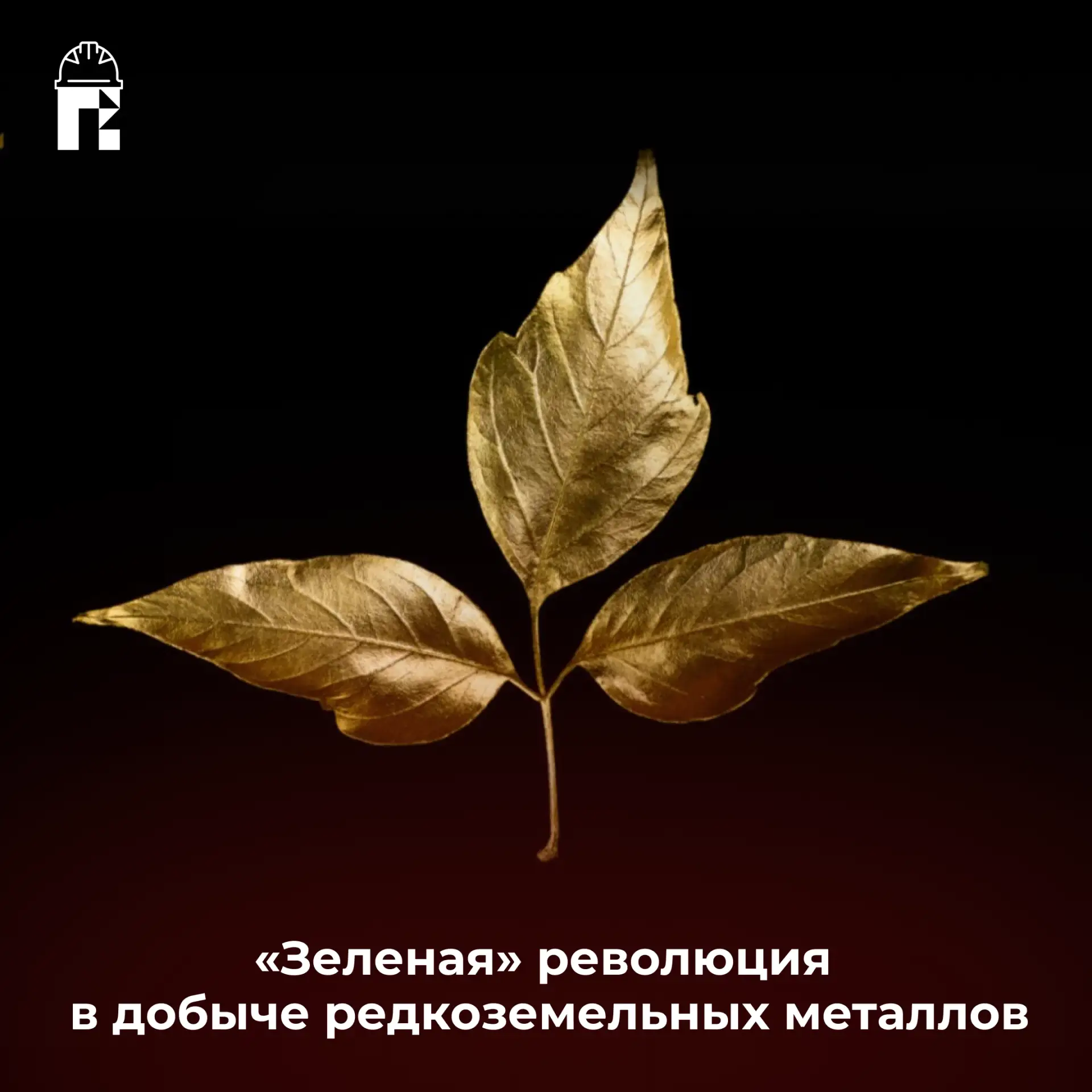 В России создали технологию добычи РЗМ с помощью растений  🍃