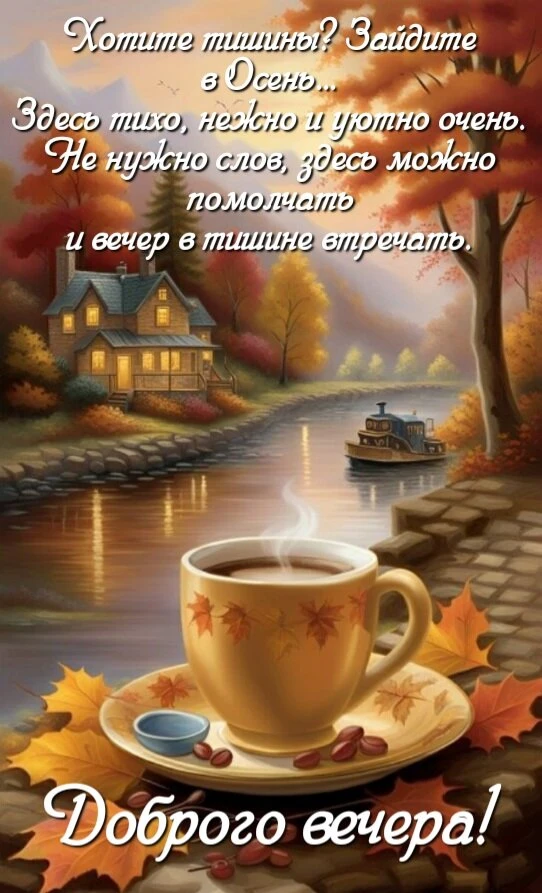 ЖИВЫЕ ОТКРЫТКИ🫶🏻