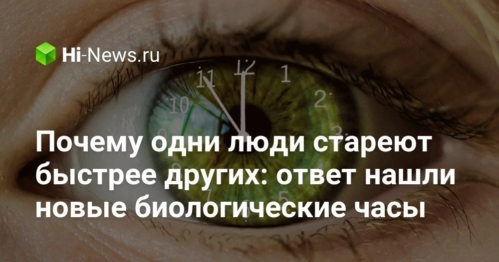 Новые биологические часы: как учёные предлагают измерять наш реальный возраст