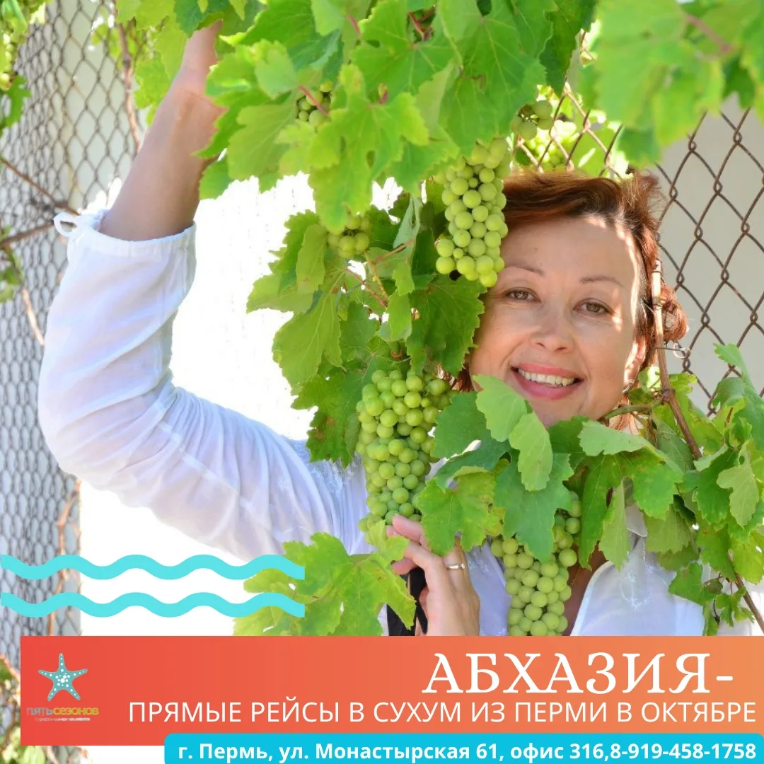 Бархатная осень в 🌴🌊АБХАЗИИ.