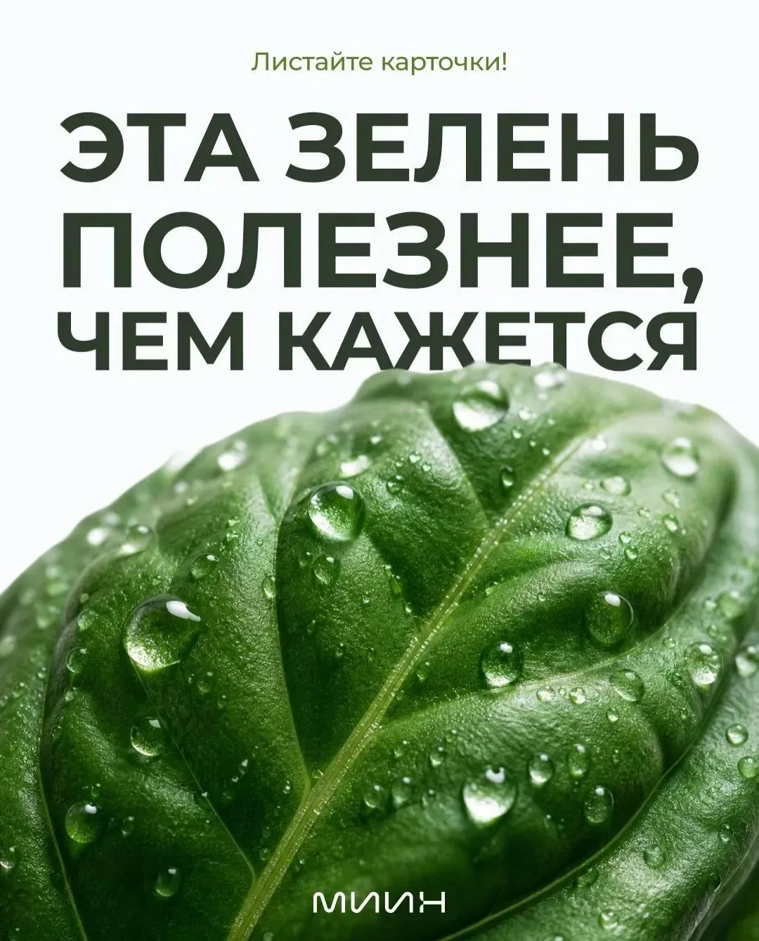 Самые полезные продукты летом часто стоят дешевле чашки кофе. 🌿

Петрушка, укроп, кинза, базилик и 