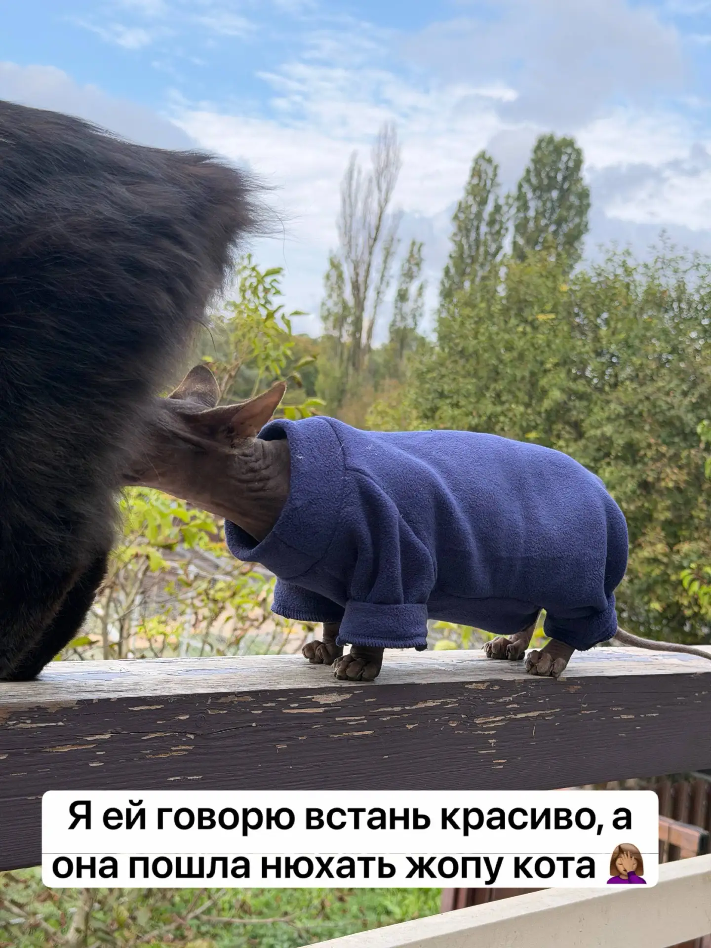 Сложно быть заботливой  для независимых 😂