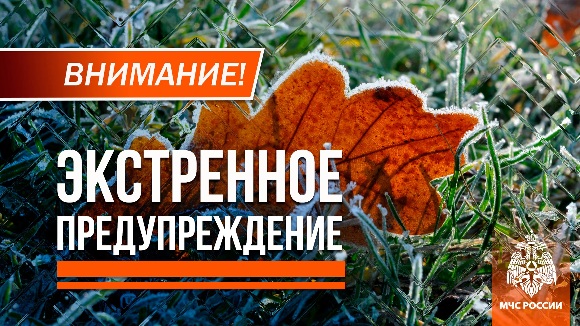 ❗Заморозки на поверхности почвы до -3° ночью и утром местами в ДНР ожидаются  3-4 октября.