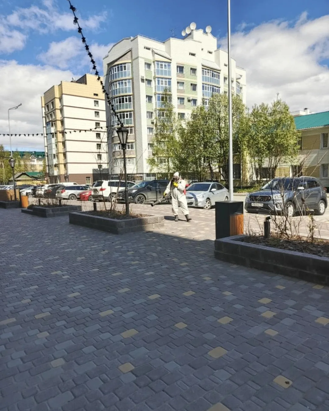 На придомовых территорииях всех обслуживаемых домов сегодня проведена ежегодная планова...