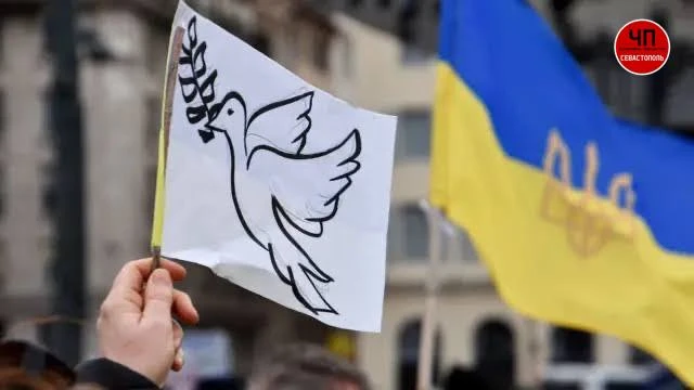 ❗️Украина готова ко всем предложенным посредниками вариантам перемирия, заявил спикер М...