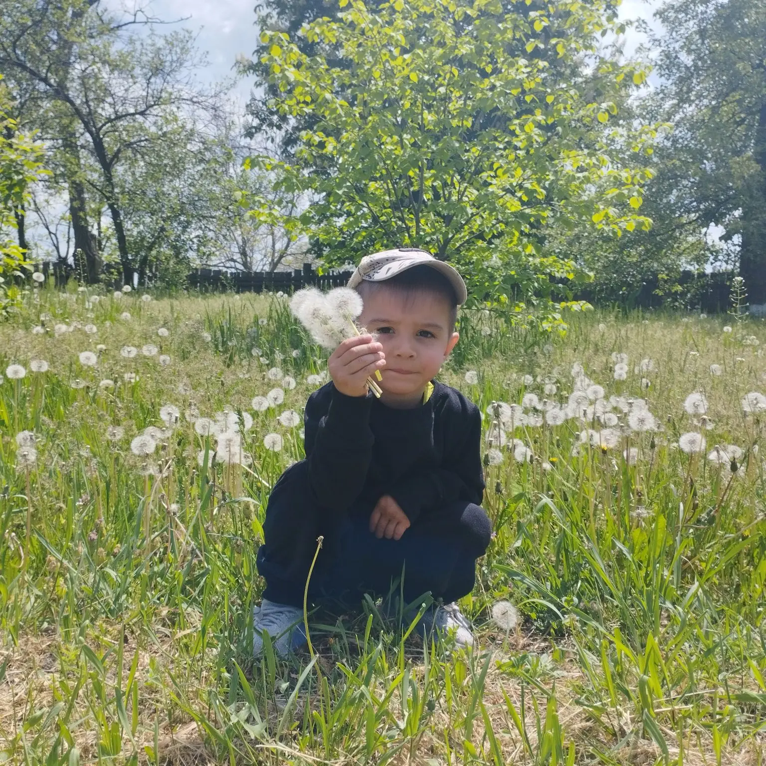 🌼✨ День одуванчика !✨🌼