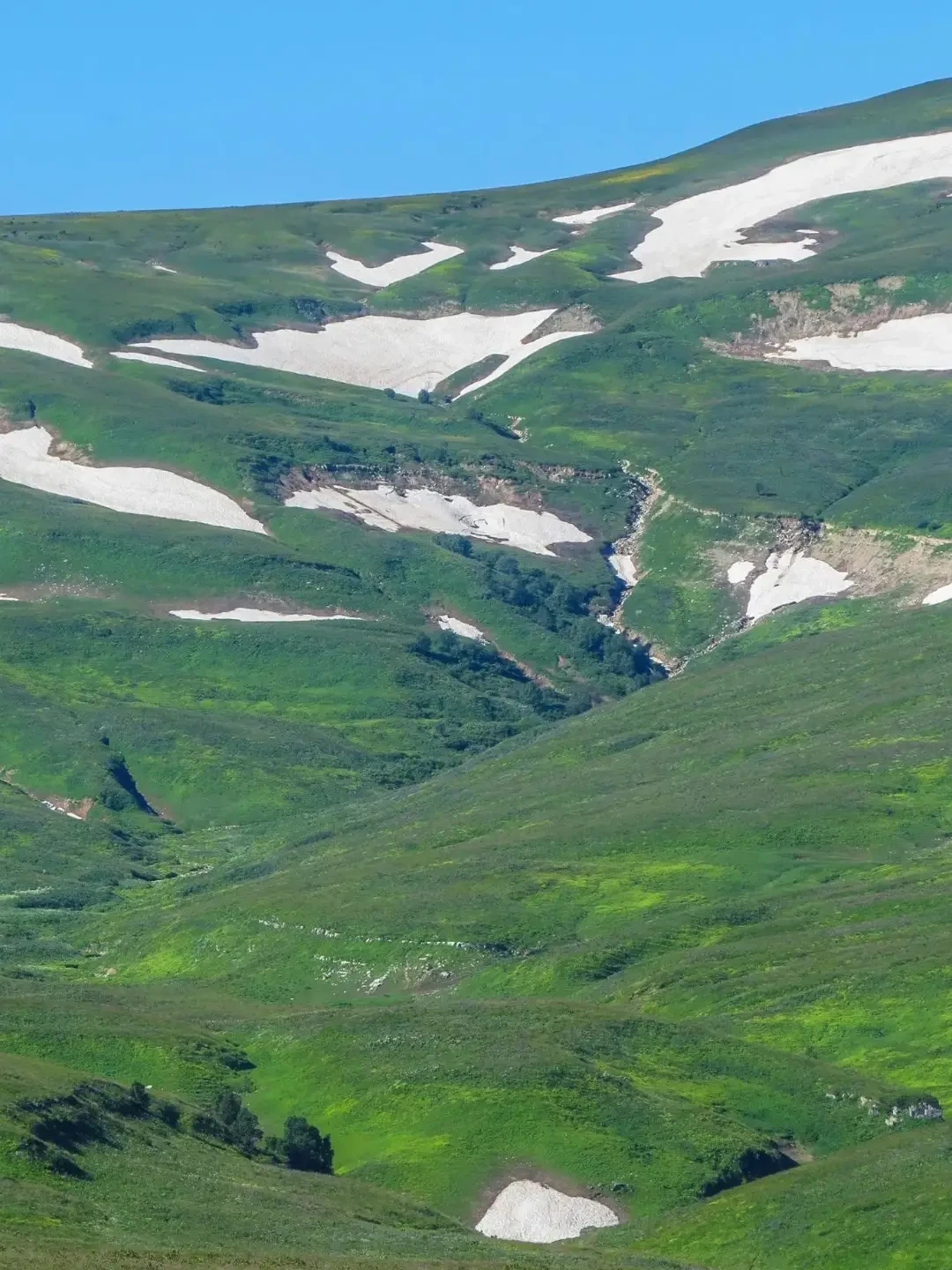 Вид на альпийские луга нагорья Лагонаки с высоты

⛰  Ловите, несложный однодневный маршрут горной Ад