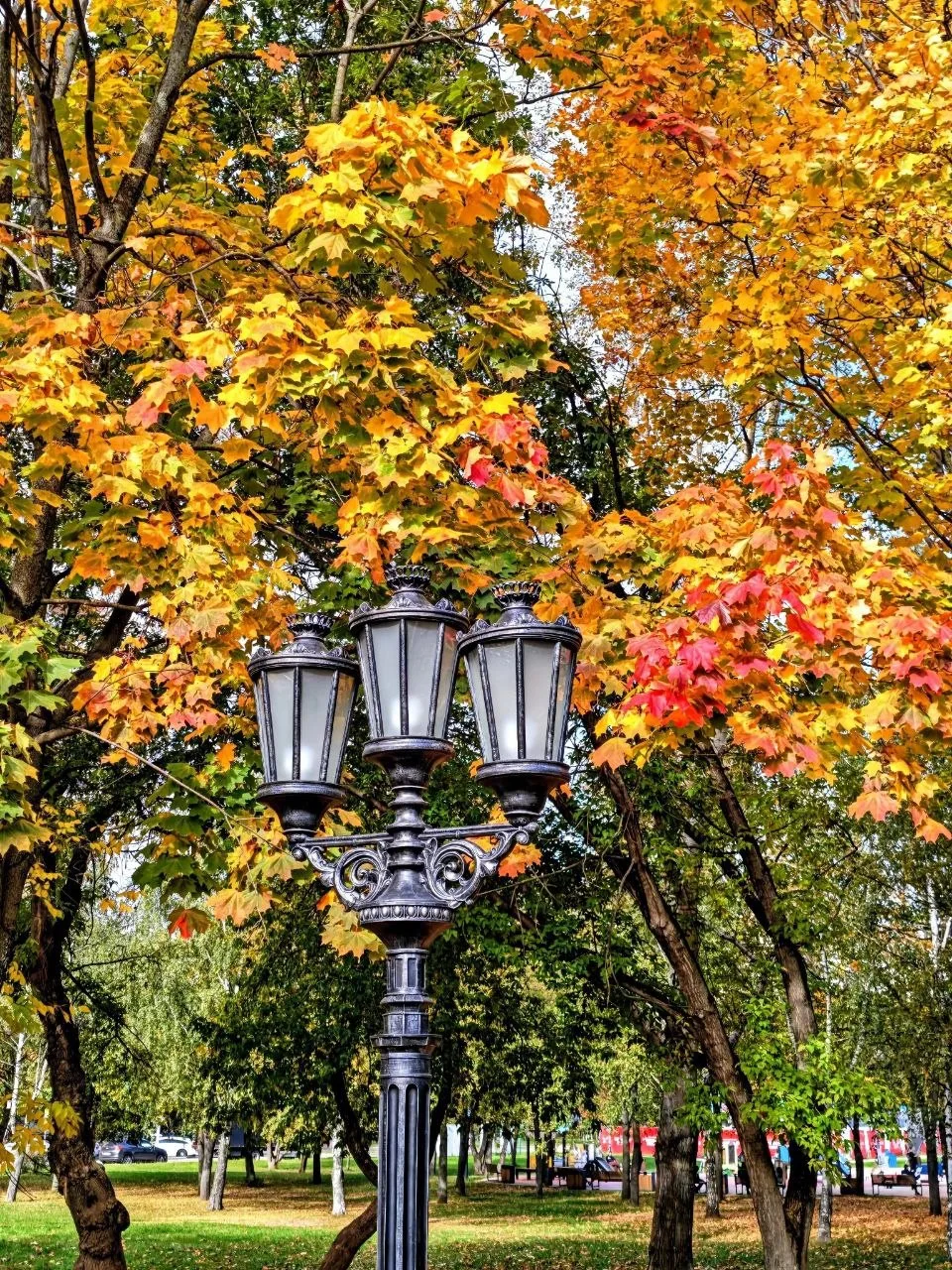 Яркие краски в Парке «Яуза»