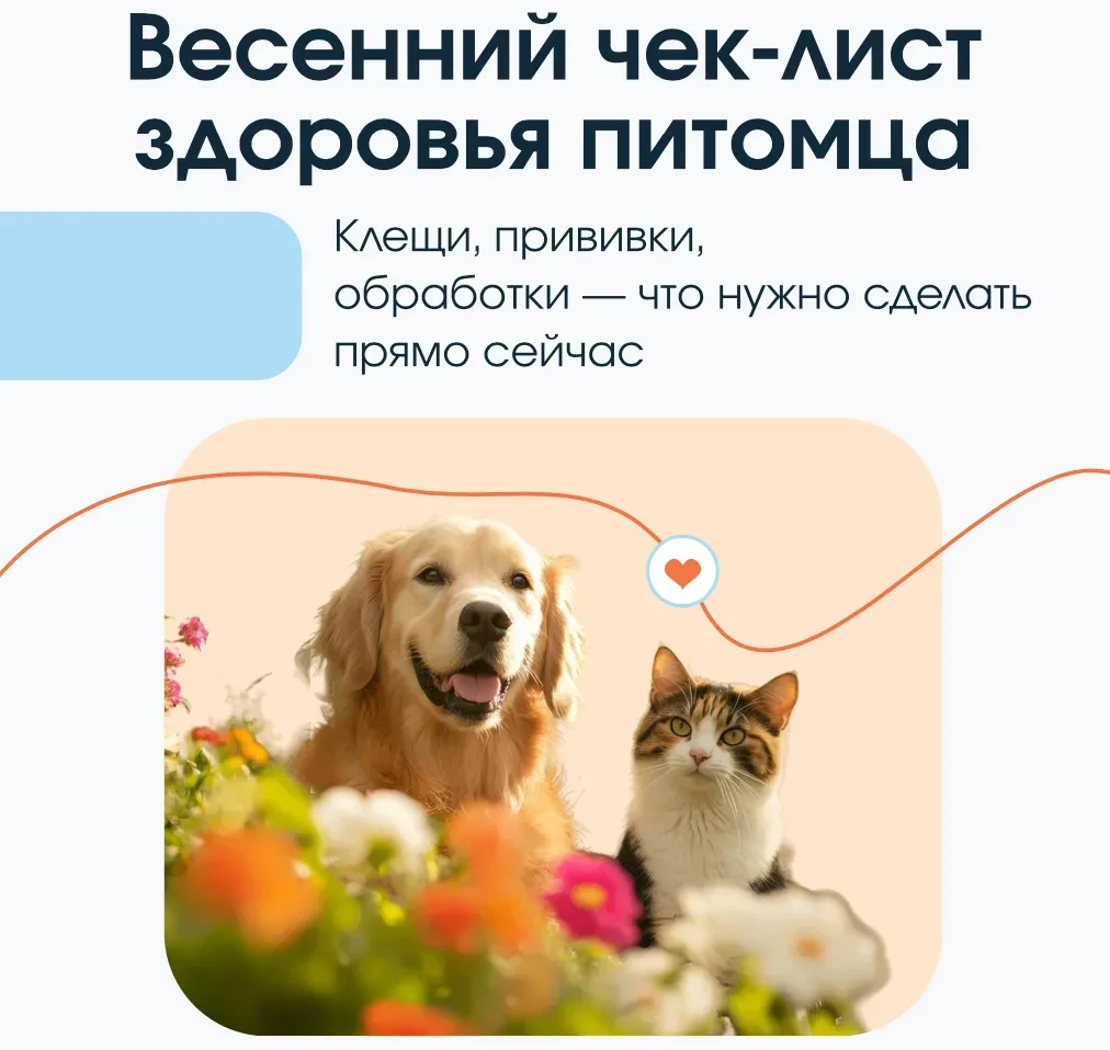 🌸 Весна - время долгих прогулок, но и скрытых угроз для ваших хвостиков.
