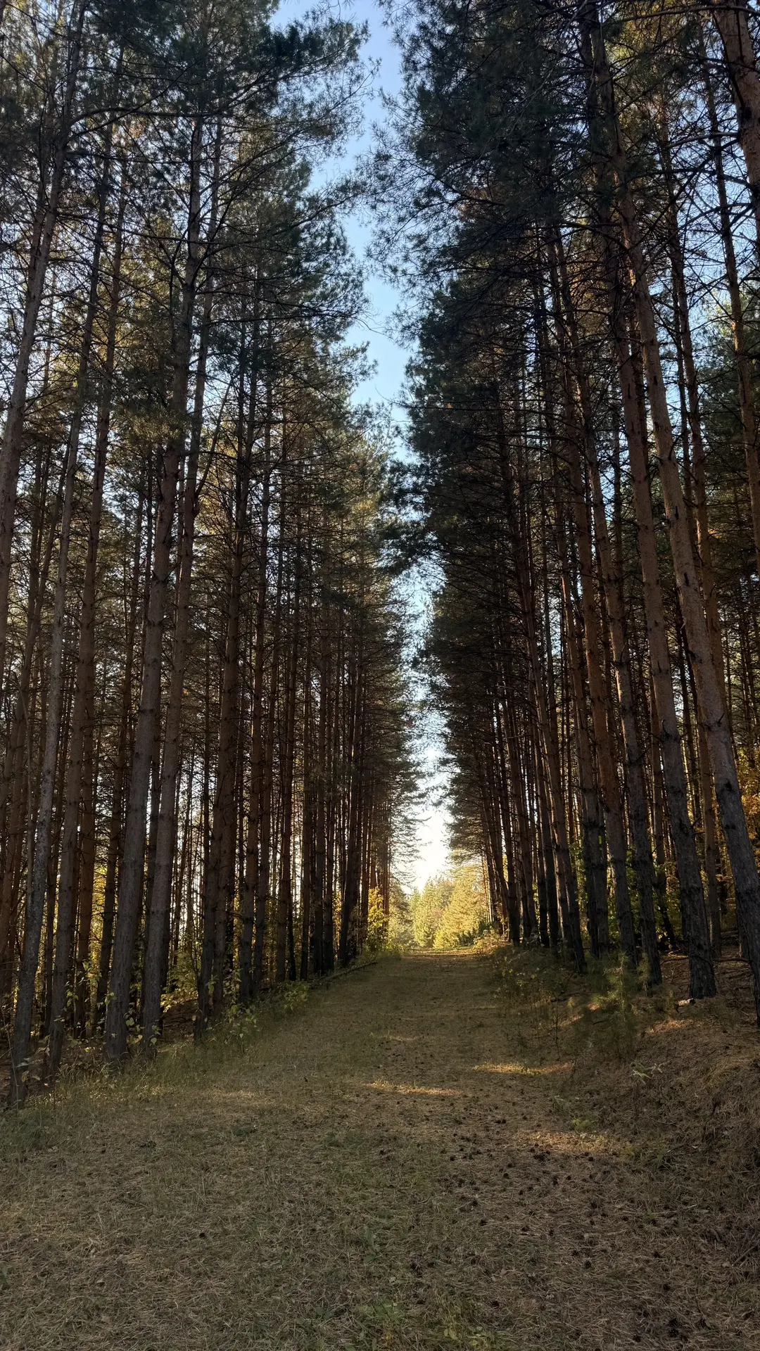 Хәерле көн!