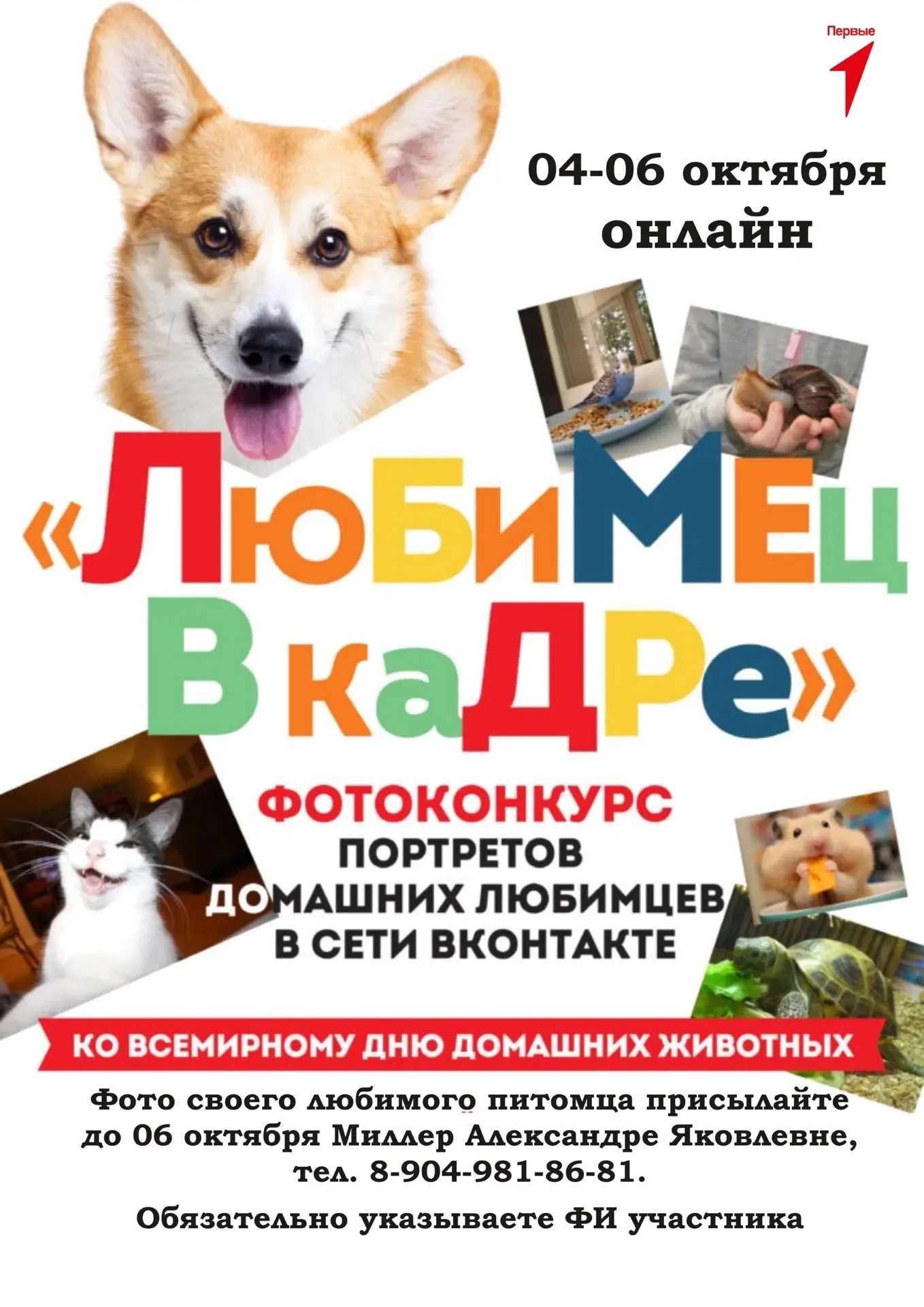 🦁4 октября - День защиты животных.