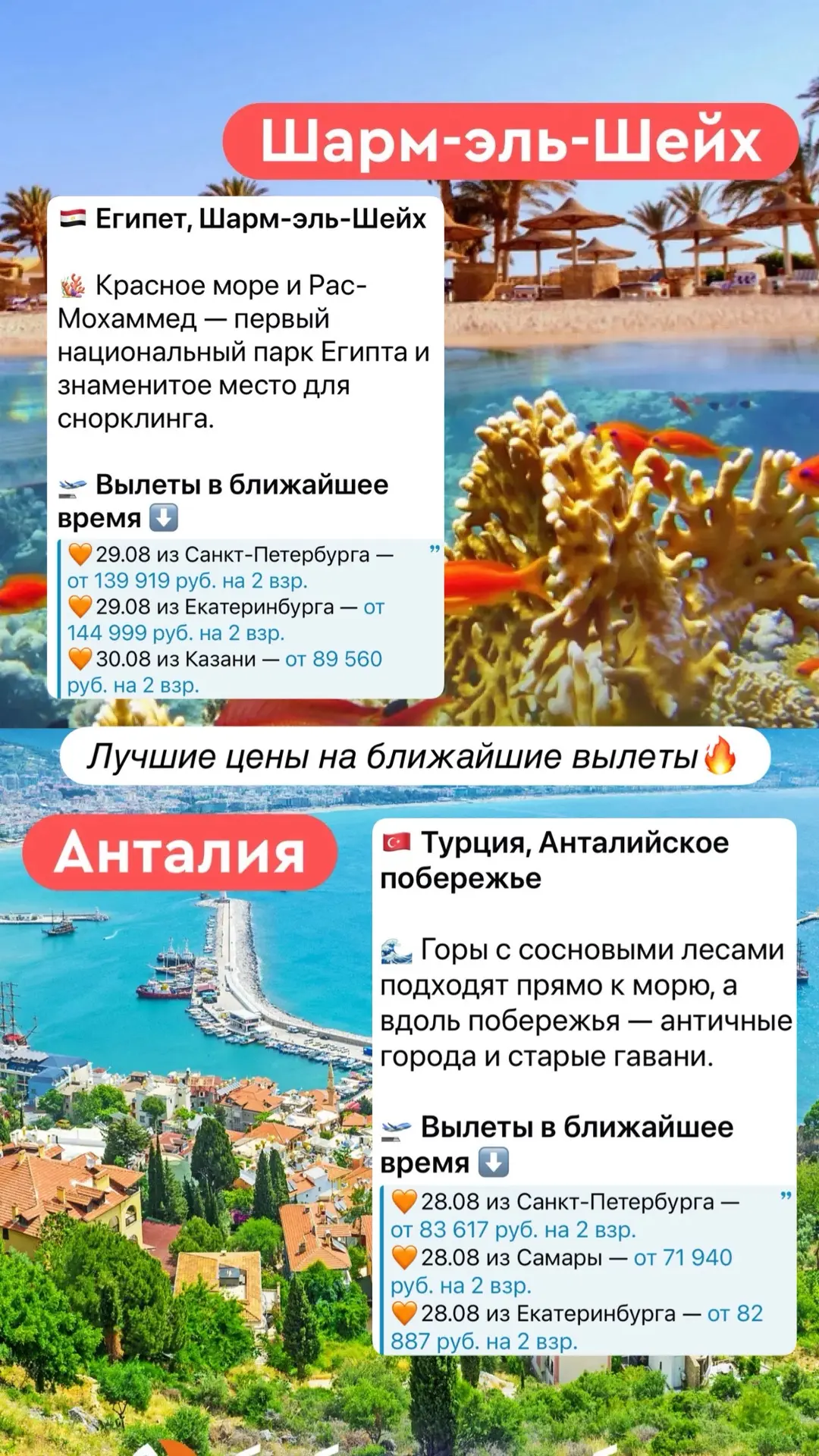 Успеть до 1 сентября 🔥