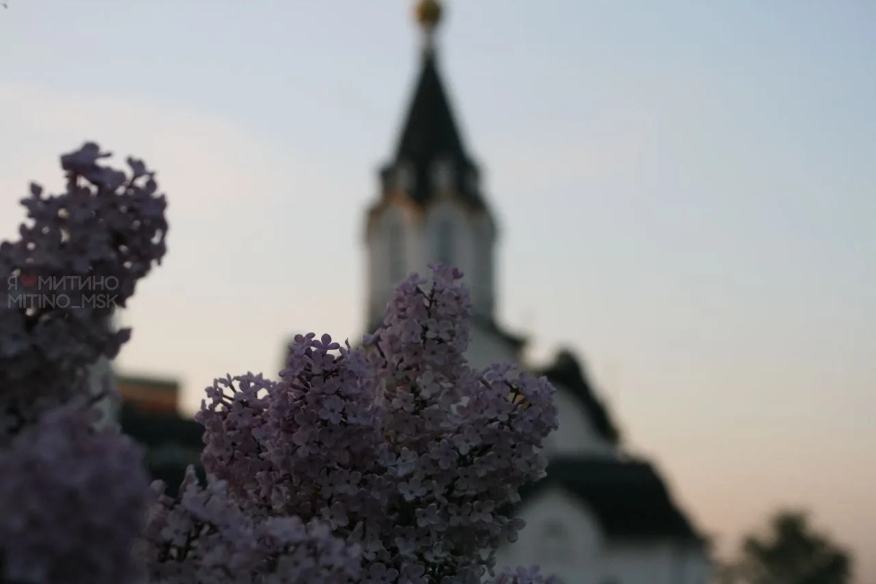 🌅Красота пятничного парка!