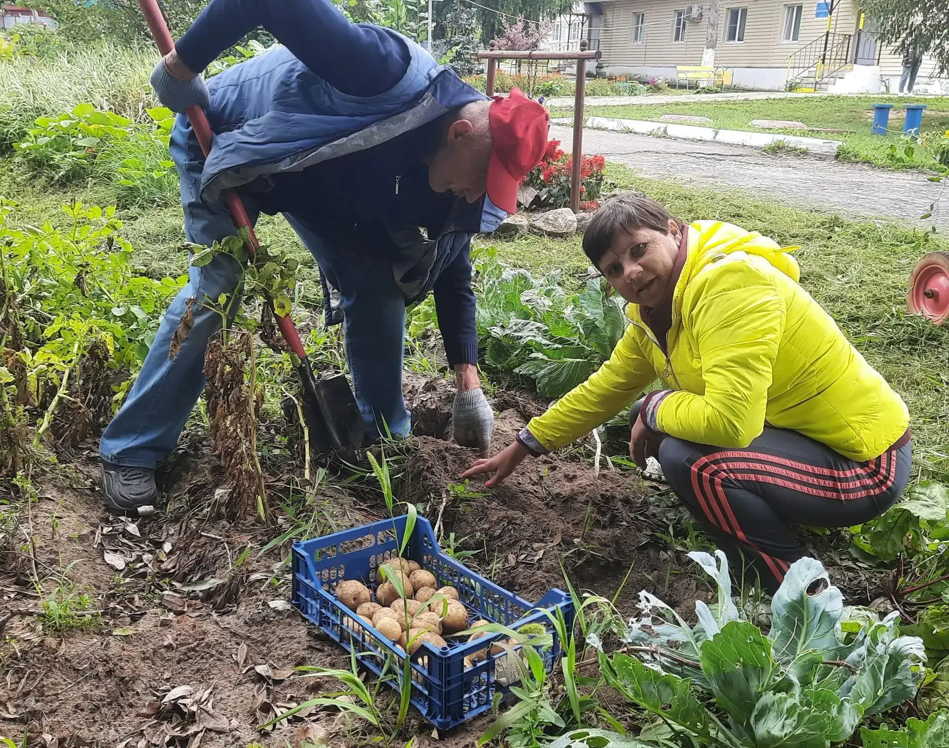 Урожай нам на радость!