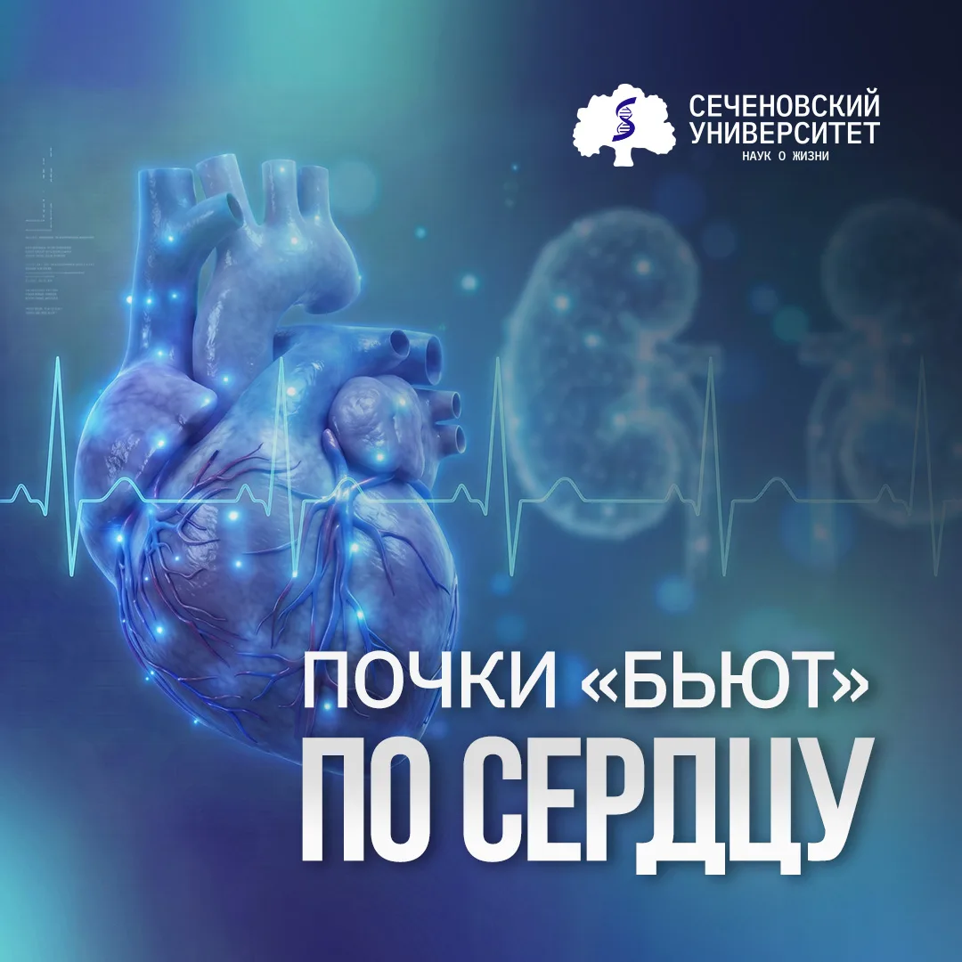 🫀Врачи-нефрологи Сеченовского Университета применяют комплексный подход для снижения с...