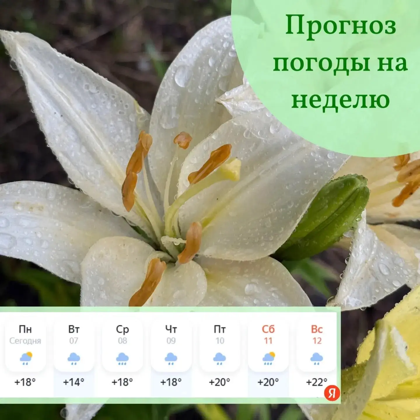 🌤Хороший день начинается с добрых мыслей и успешных дел!
Пусть будет именно так!
Прогноз погоды на 