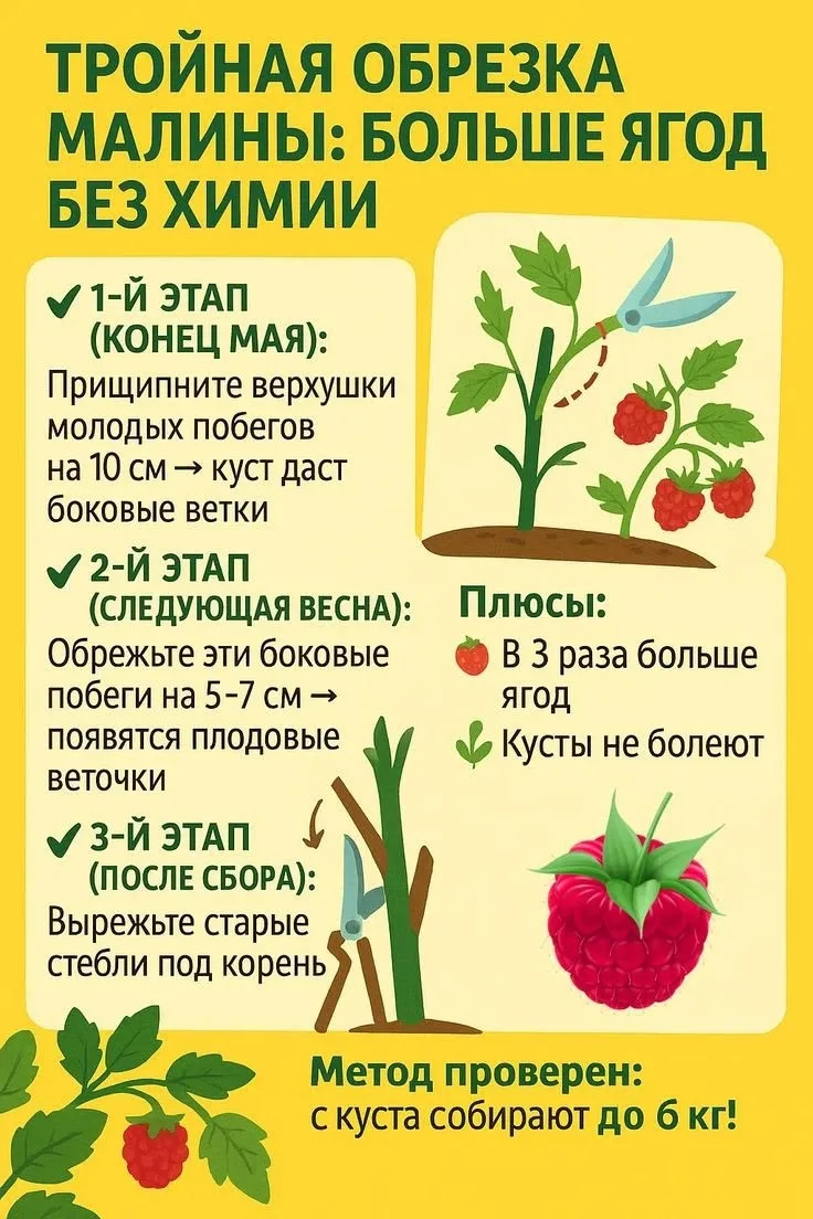 🍃Это нужно сохранить ❗