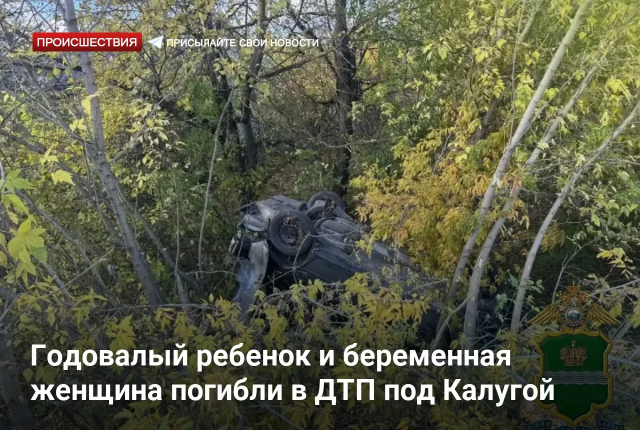 Годовалый ребенок и беременная женщина погибли в ДТП под Калугой